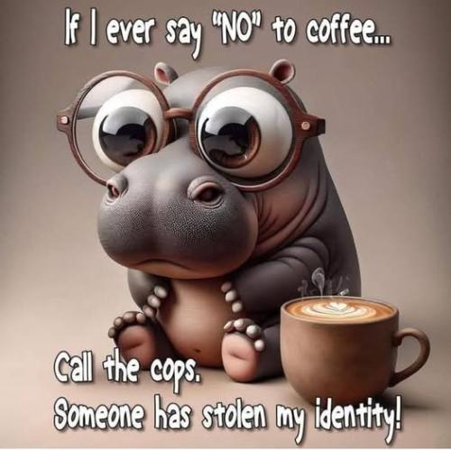 547584839_25491799923741748_8756387973810571535_n