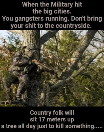 don't-gangsters-run-to-country