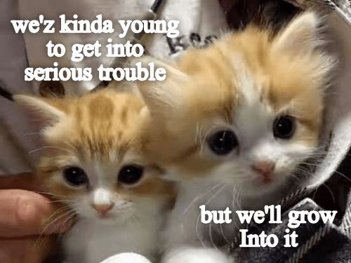 29129717d850711c4ff9d965a97680bb