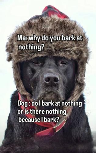 IMG_20250930_141150_469