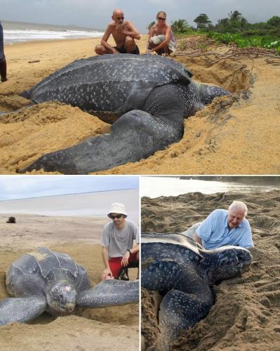 FB_IMG_1757917974955