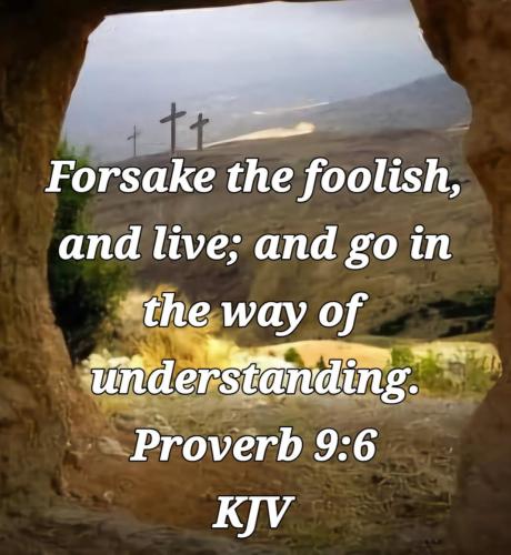 b522a14a-a7bc-4a33-b917-c1033bdd682a