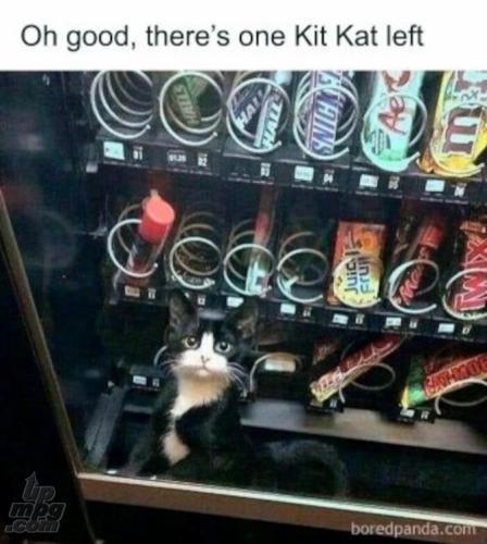 main-qimg-6cc8c0a1807d650a163d76194676bc50