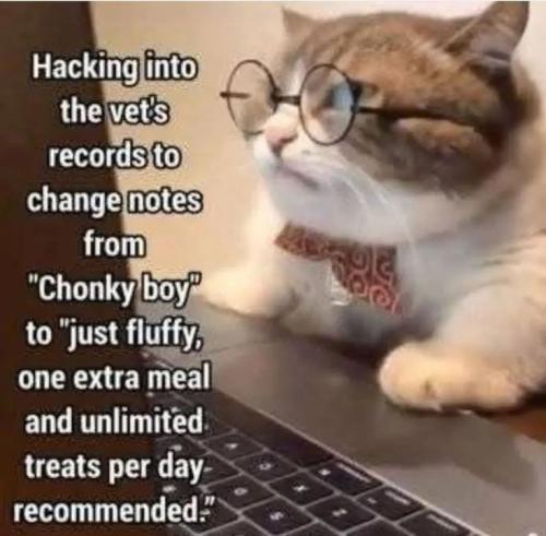 359883b1948103fcf02b54fde6db7d8a