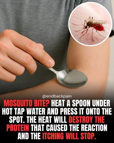 Screenshot 2025-08-24 171415