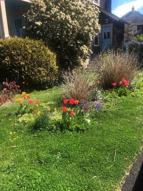 FB_IMG_1740108331038