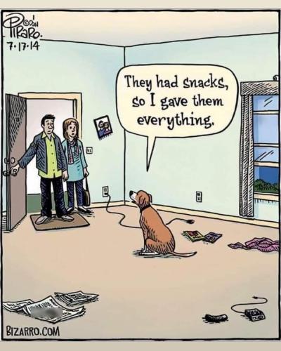 df112a2e2aa71edc89a67aa79e4ea849