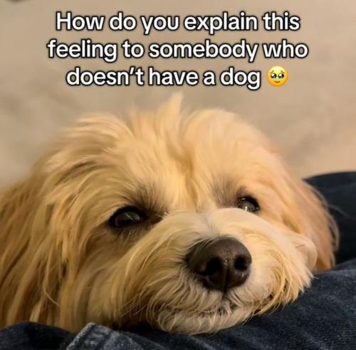 cbd98e76d71b19f19d700af393349d41