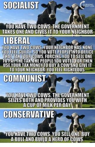 IF YOU HAVE TWO COWS