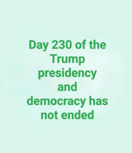 51bf371b-790e-4d54-9e28-ad7e87617af3