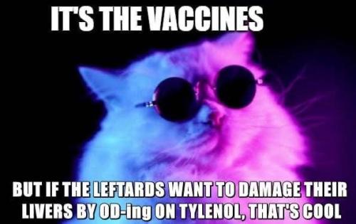 IMG_20250926_023443_034