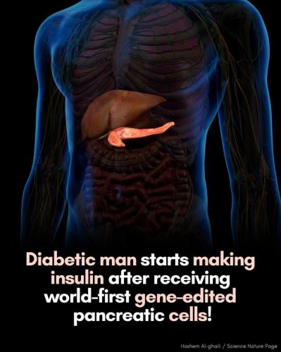 59b43ac3-9597-42d9-8f9a-112cbc66e81d