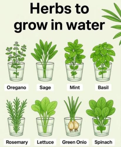 ,          ,  0424775766_746362