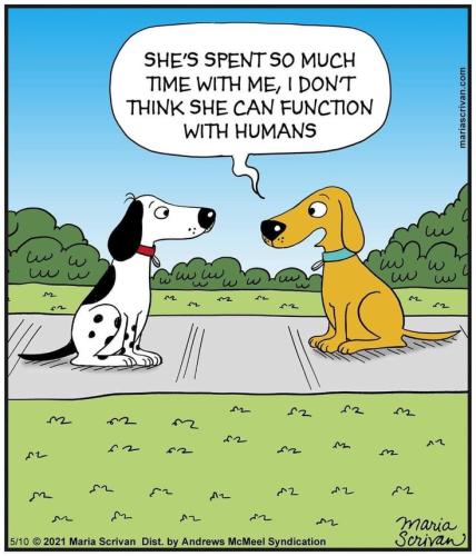 b8d618005d7137505c5d2983544ba85c