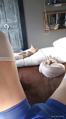 IMG_20250924_170639835