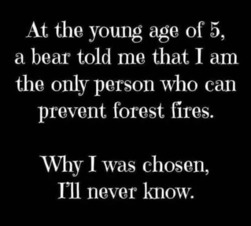 i'm-the-onlyperson-prevent-forest-fires