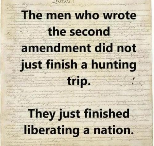 second-amendment-not-hunting