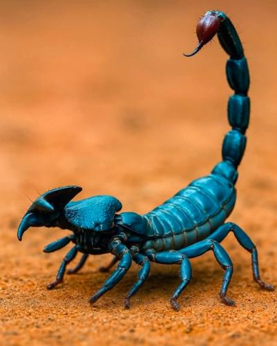 07:46:30 GMT-0500 (CDT)