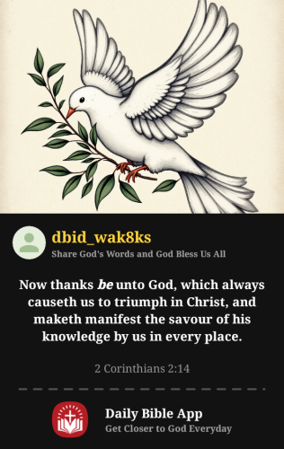 2025-09-171758159441901