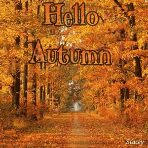 5d06f375-fdcc-4c31-a219-236c3eb6862f