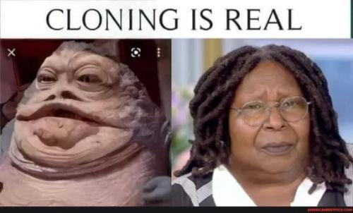 cloning-real