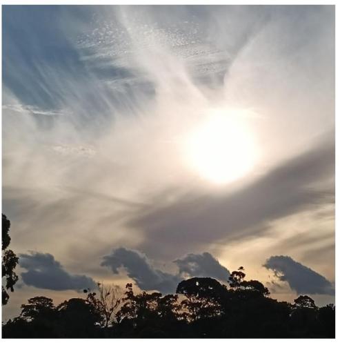 439cfc81-fd6a-4190-a743-7305ec143912