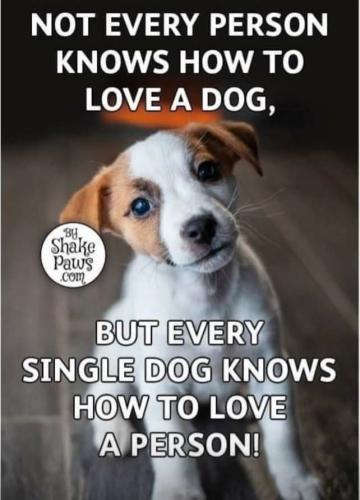 FB_IMG_1758238150598