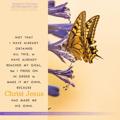 phi-3-12-MOUNCE-unsplash