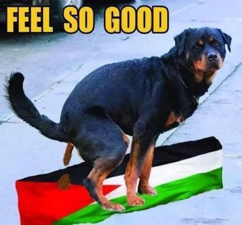 FB_IMG_1758206412381