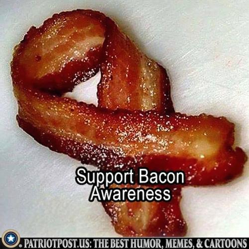 01K47VMWZ33QG13RWX06TKJMB5