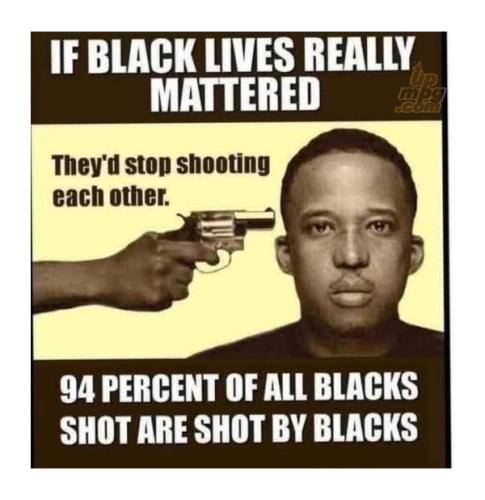 main-qimg-64d2d78e73c484e0a8a8ab4cc8782f5b