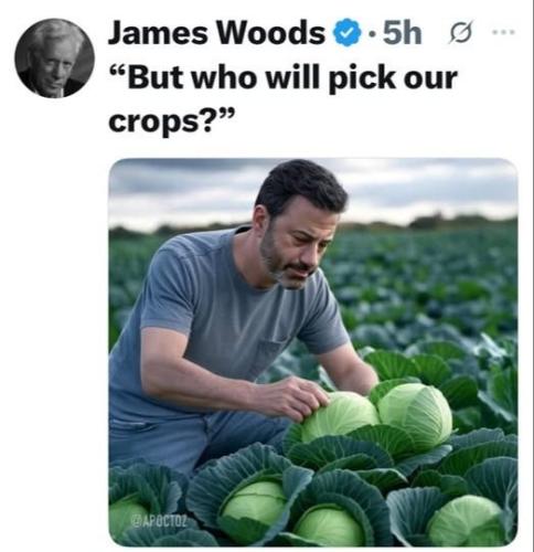 01k5efewqman3pvkkmbc7b8tys