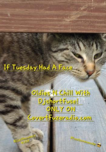 Screenshot_20250908_184152_Gallery