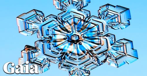 ,         418235313_73391130547