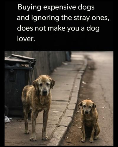 FB_IMG_1757348063007