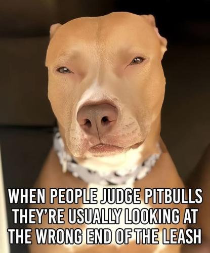 d5b6c3b06d12c34dc814c3852746df75