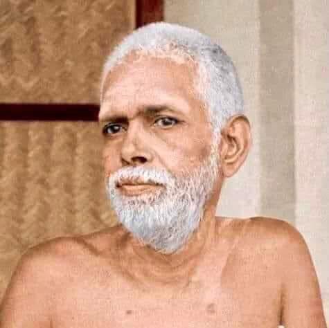 ,         418235313_73391130547