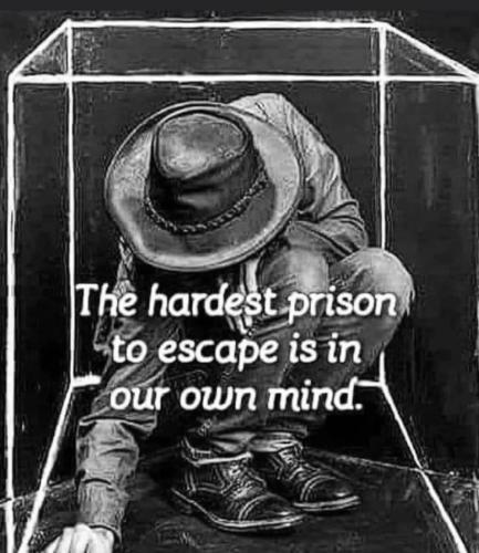 e21d85a4-757a-4229-b268-1990eb9ecc48