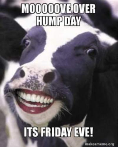 Screenshot_20250904_073216_Gallery