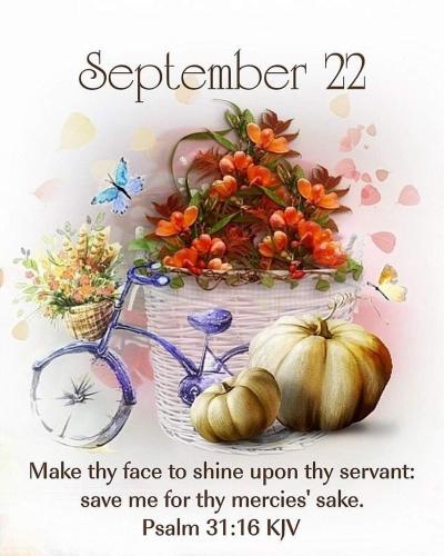 552405320_18025279136743683_7514281453338052887_n