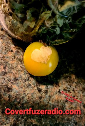 Screenshot_20250921_113421_Gallery