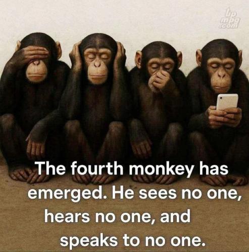 main-qimg-ef1a909d58caccf4085ba11b6e41e782