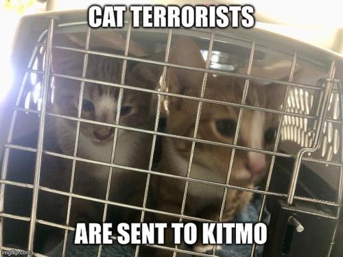 C548F124-9375-4A6B-81FD-F17B4E12DBF9