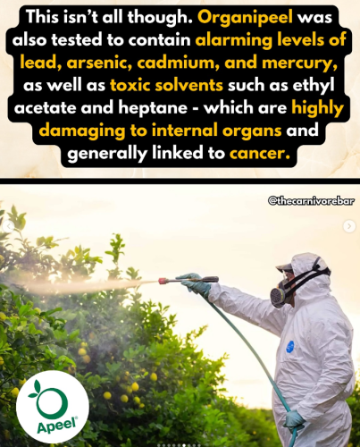 Screenshot 2025-08-30 064503