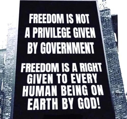 freedom-is-a-right