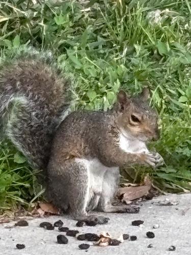 BFF0CBCC-2719-495E-B3EC-06A9B596F5DE