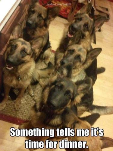 50a55c7a35ebab573db55f6afa9644b1