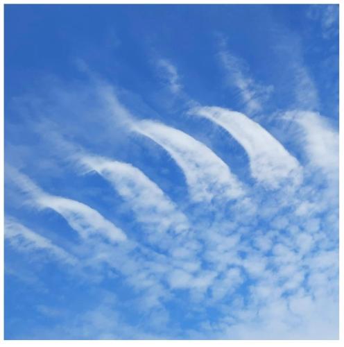 e927f431-a467-4fa1-ba6a-b89a219f321c