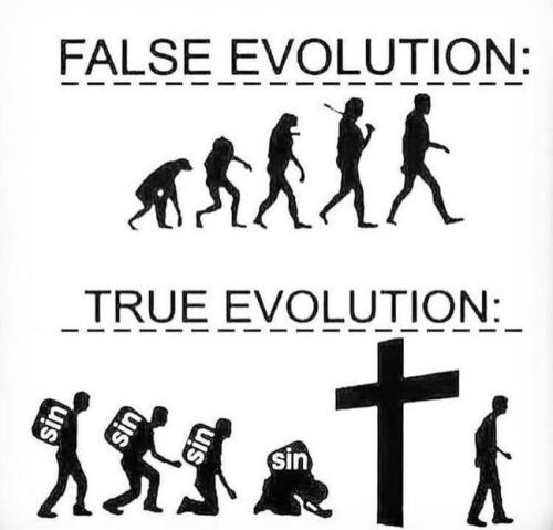 IMG_20250913_171250_516