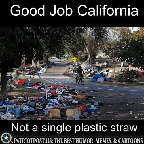 01K4C1W95A4XD8ZMBFCDQNRY2B